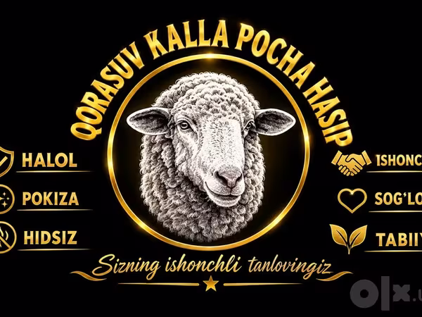 Sheep (batch, sex not specified), Sheep