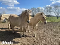Kanca, Fjогd — 6. fotó