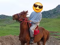 Hing, Anglo-Arabian — 5. fotó