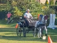 Kanca, Lipizzaner — 3. fotó