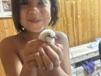 Silkie — foto 5
