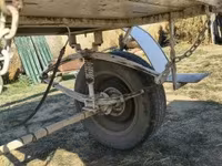 ló, csikó, jártató. — फ़ोटो 5