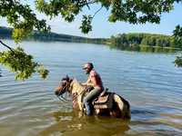 Hing, Pinto horses — 3. fotó