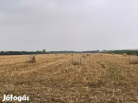 Elcserélnék vagy eladnák kukorica csuta bálát szarvasmarhára — photo 1