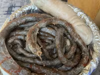 Owce (partia, płeć nieokreślona), Owce — zdjęcie 4