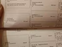 Stute, Pferde — Foto 1