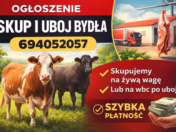 Skot (série, pohlaví neuvedeno), Skot