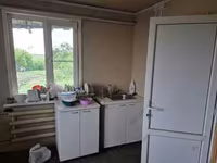 Krava, Bukovinský průmyslový typ červenobílé ukrajinské krávy — foto 4