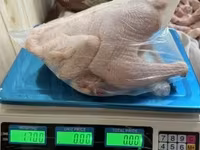 Chickens — الصورة 4