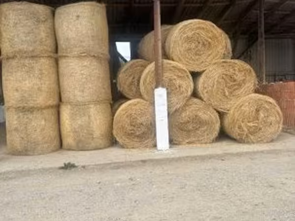 Széna eladó vagy csere