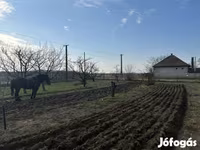 Hing, Lovak — 4. fotó