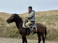 Hing, Azerbaijan horse — 2. fotó