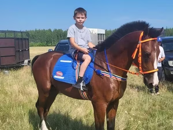 Kůň, Manipuri pony