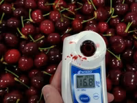 Refractometre și salinometre digitale Atago pentru fructe, siropuri, gemuri și multe altele! — zdjęcie 1