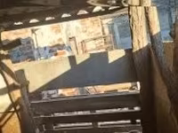 भेड़, भेड़ — फ़ोटो 1