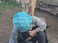 बकरी, Megrelian goat — फ़ोटो 1