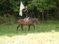 Horse (M), Racking Horse — photo 3