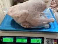 Chickens — zdjęcie 4