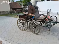 Jártató Eladó vagy csere — photo 2