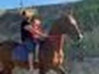 Hing, Arabian horse — 5. fotó