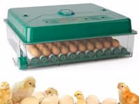 Incubator De Oua Des Champs Eco Profi C-70 - xh - livrare/achitare in 4rate/agrotop — foto 3