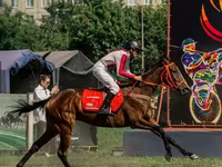 Klisna, Arabian horse — foto 2