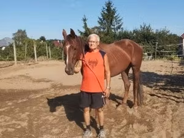 Madyan, Thoroughbred horse