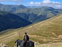 Hing, Azerbaijan horse — 3. fotó