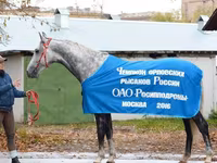 Hing, Orlov Trotter — 2. fotó