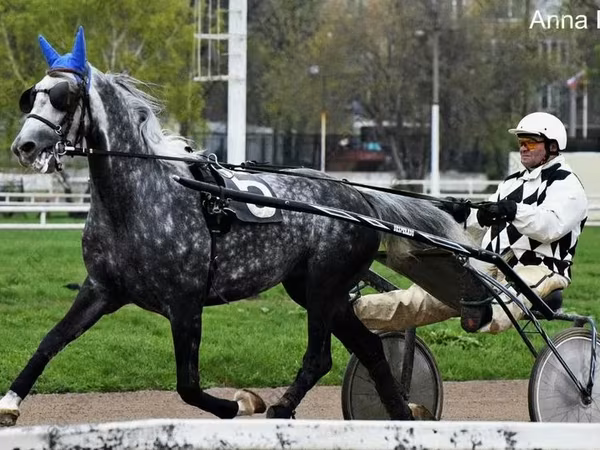 Hing, Orlov Trotter