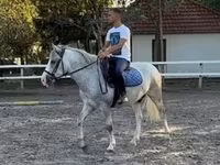 Hing, Lovak — 3. fotó