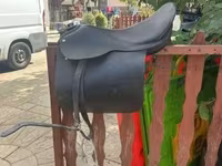 Yegua, Caballos — foto 4