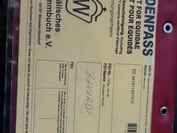 At, Westphalian