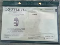 Cheval, Chevaux — photo 5