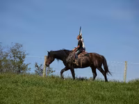Horse (M), Racking Horse — photo 2
