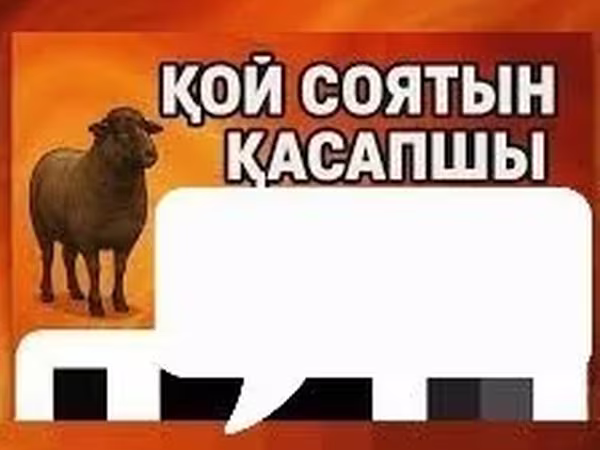 Beran, Ovce