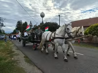Madyan, Percheron — foto 3