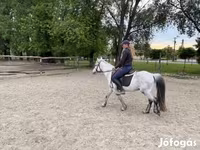 Caballo, Caballos — foto 5