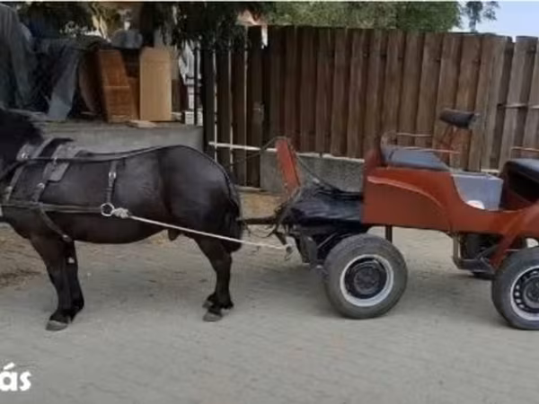 Póni lemez jártató