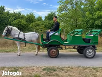 Hing, Lovak — 4. fotó