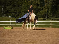 Caballo, Pinto horses — foto 5
