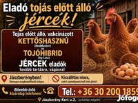 gallina danesa — foto 3
