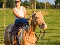Cavalo, American paint horse — foto 5