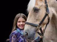 Stute, Palomino — Foto 2