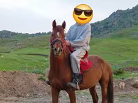 Hing, Anglo-Arabian — 1. fotó