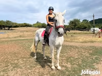 Kanca, Hungarian horse breed — 3. fotó
