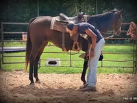 Klisna, Quarter Horse — foto 5