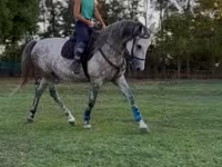 Madyan, Kisber felver — foto 4