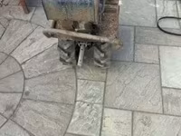 Yegua, Caballos — foto 6
