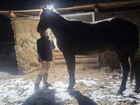 Hing, New Altai Horse — 1. fotó